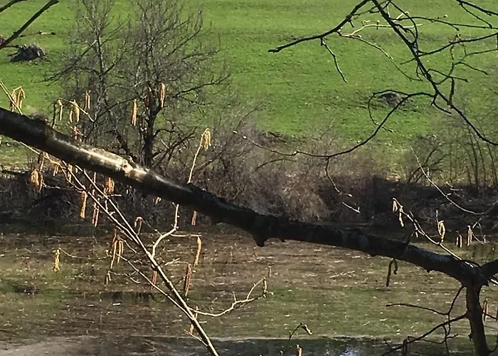 Casa Migiur 3,5 Zimmer-apartment Apartamento Laax